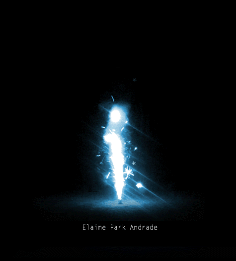 elaine park andrade